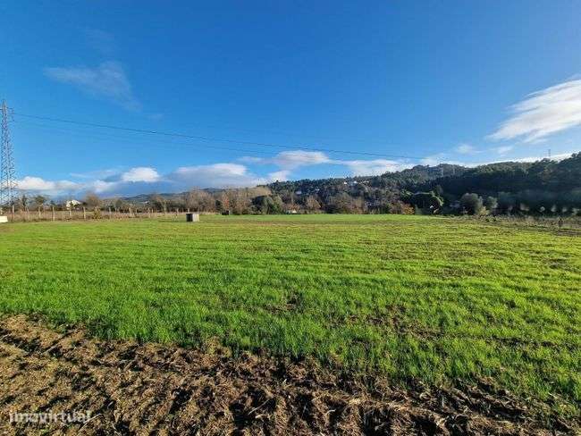 Fantástico terreno agrícola - Grande imagem: 5/7