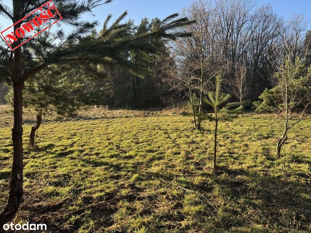 Działka budowlana 8500m2 (Ml), Słupice-4