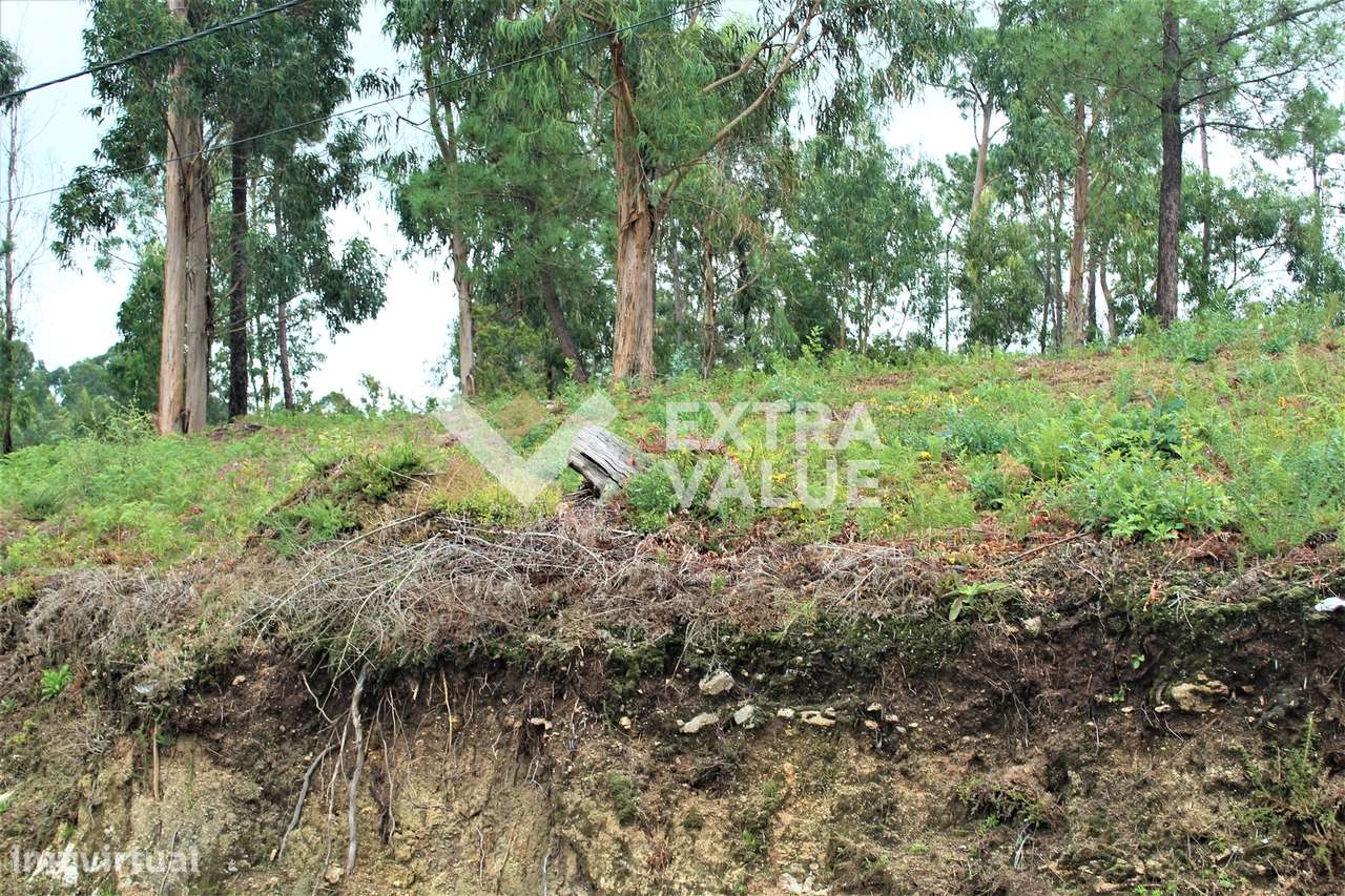 Terreno Para Construção  Venda em Ardegão, Freixo e Mato,Ponte de Lima - Grande imagem: 2/19