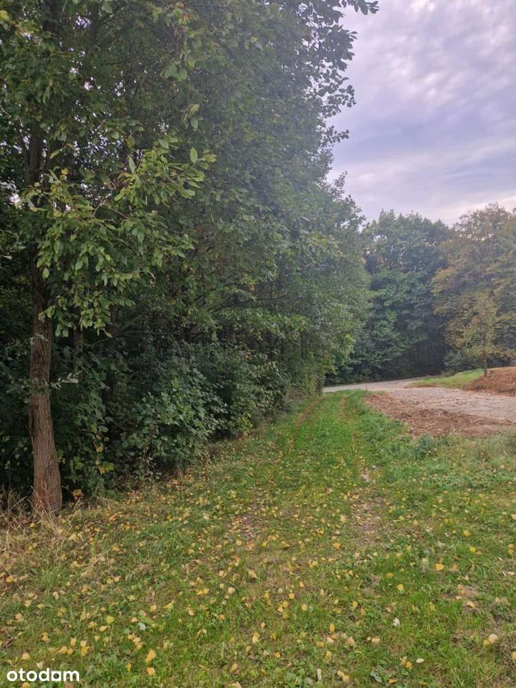 Sprzedam dom i działkę