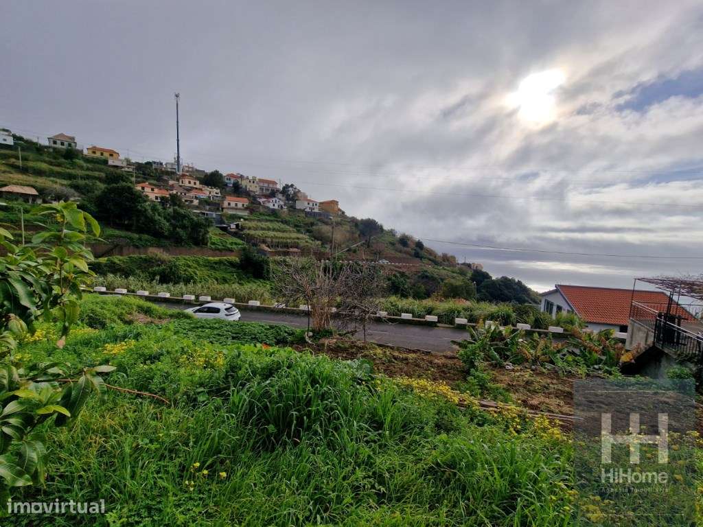 Terreno Rústico no Sítio da Pedra Mole, Ribeira Brava (Madeira) - Grande imagem: 5/16