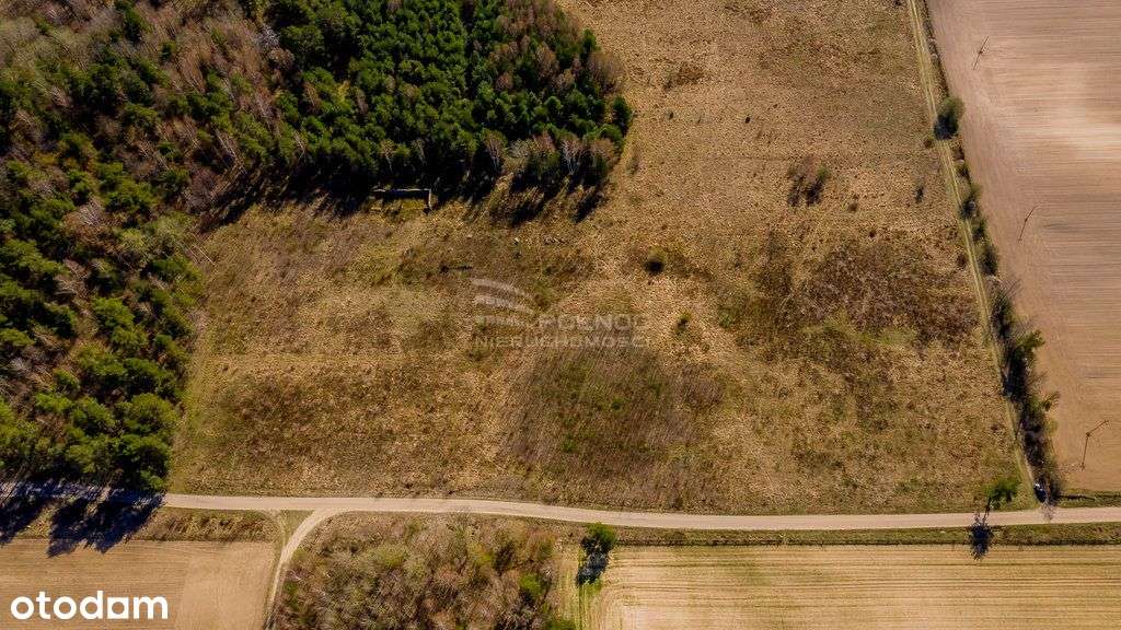 Działki pod zabudowę zagrodową. Folwarki Tylwickie - Pełny obrazek: 4/16