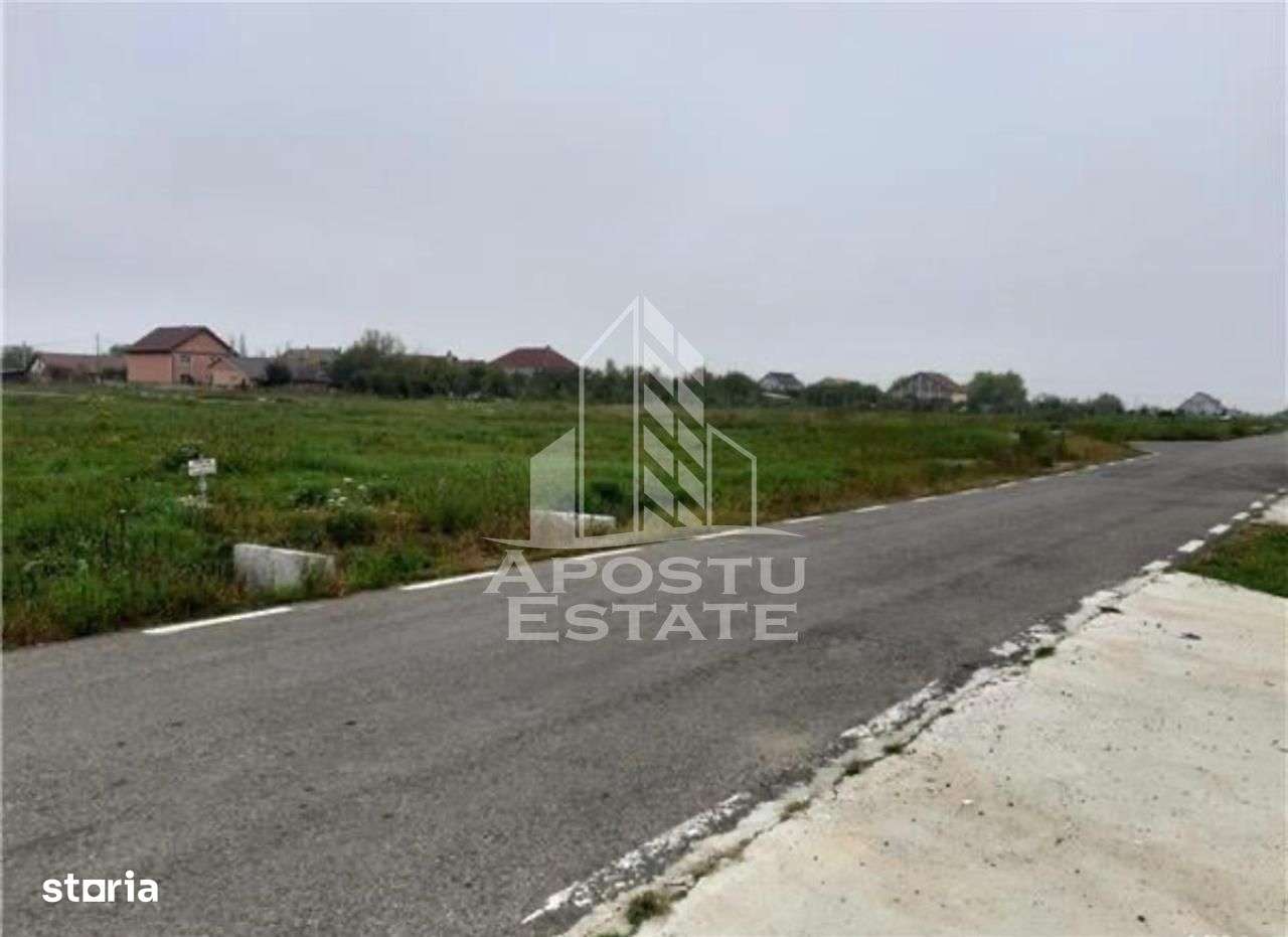 Teren intravilan 1199mp in comuna Frumuseni - Imagine principală: 2/2