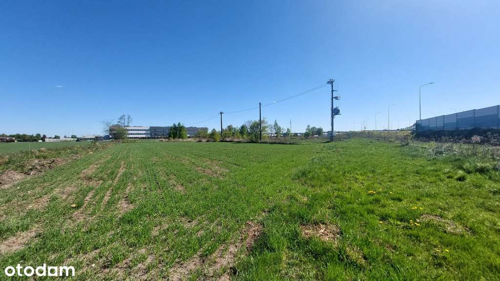 ✅Sprawdź >>> Działka inwestycyjna - Najem-3,1Ha ✅ - Pełny obrazek: 3/10