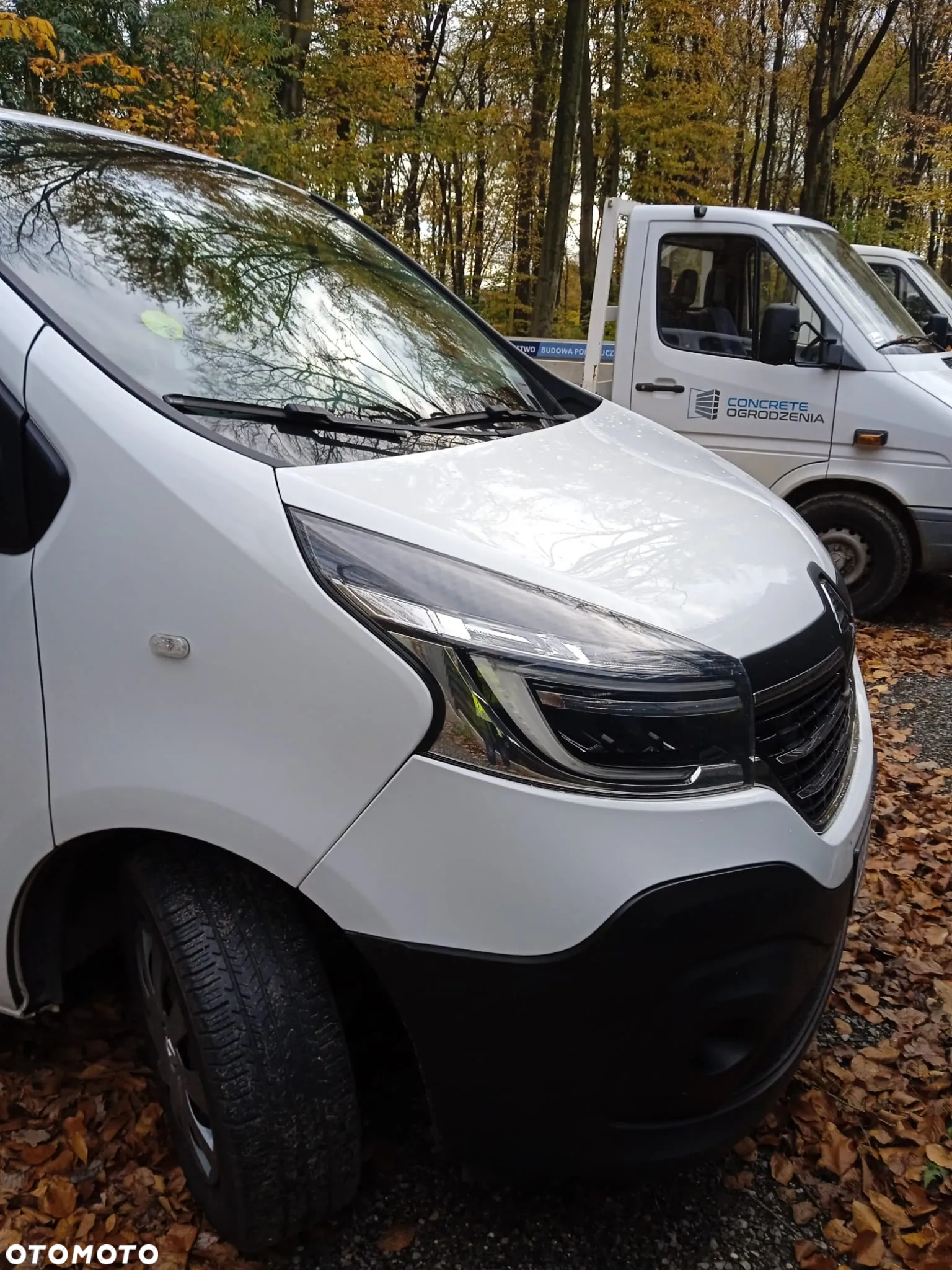 Renault Trafic - 4