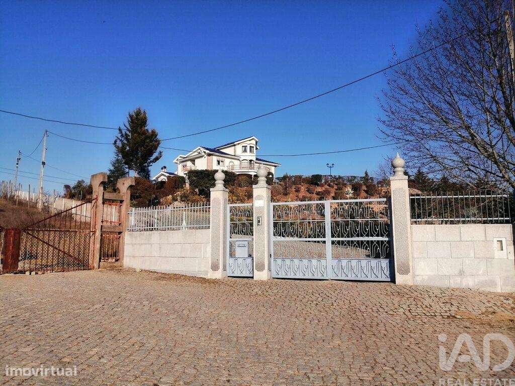 Quinta T9 em Mirandela de 1021,00 m2 - Grande imagem: 5/23