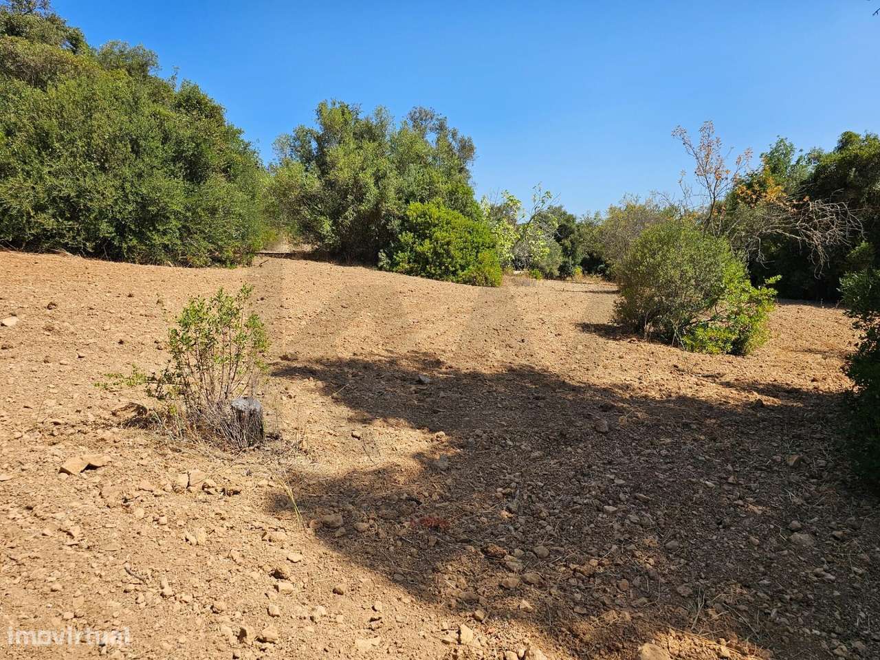 Terreno Rústico| São Sebastião| Loulé - Grande imagem: 4/20
