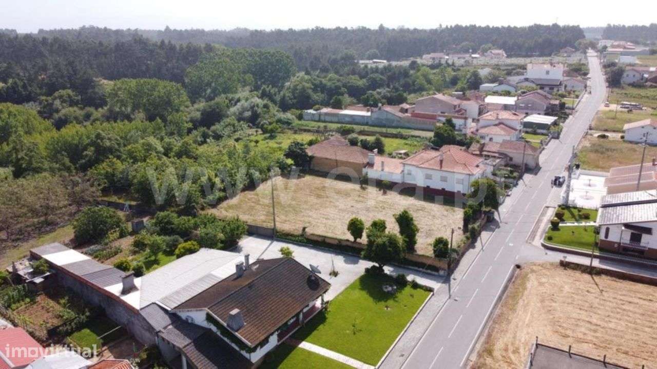Terreno Amoreira da Gândara, Paredes do Bairro e Ancas | ER - Grande imagem: 3/5