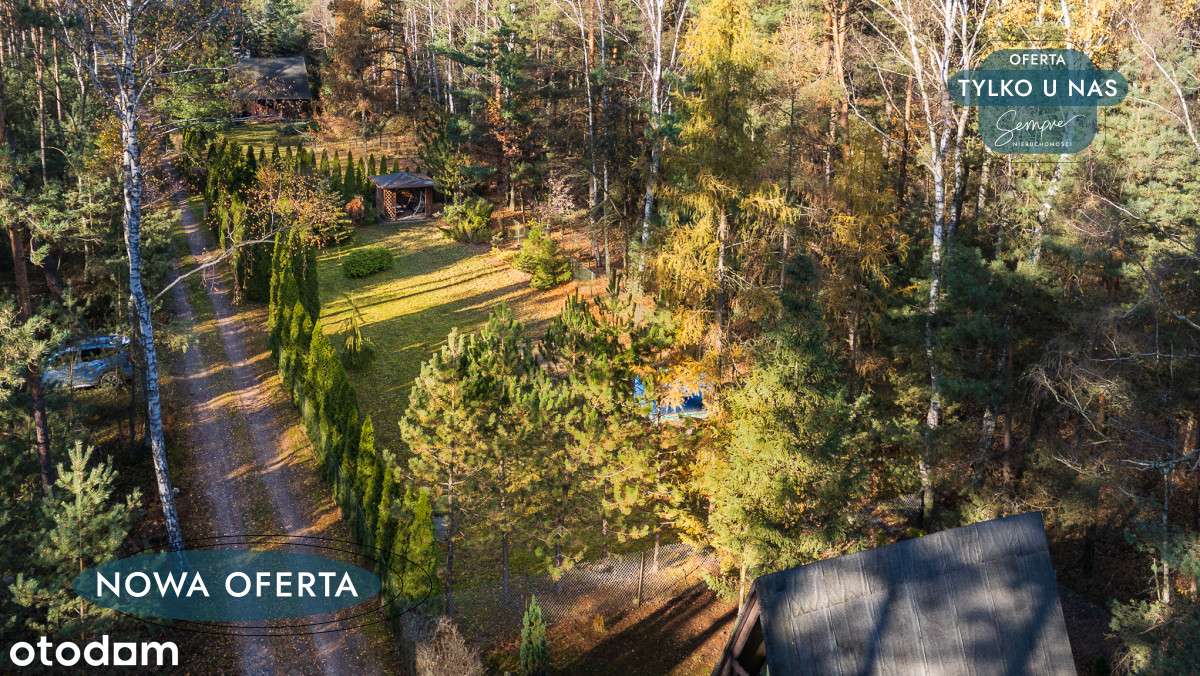 Wyjątkowa działka w sercu lasu - Pełny obrazek: 4/15