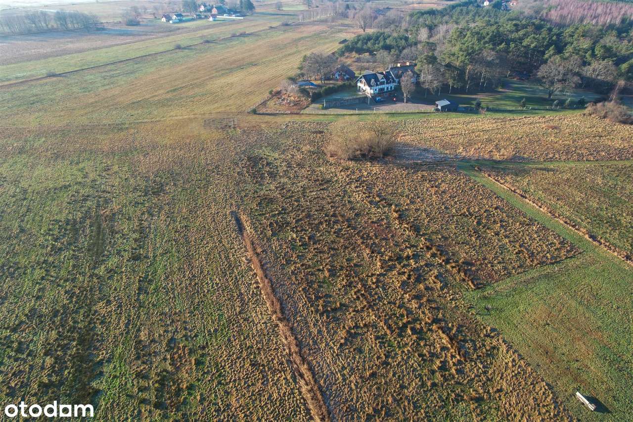 Smołdziński Las - działka o pow. 1600 m2 - Pełny obrazek: 5/13
