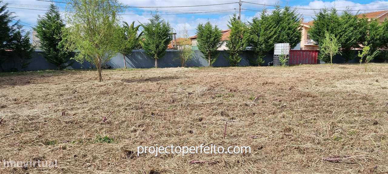 Terreno Para Construção  Venda em Esmoriz,Ovar - Grande imagem: 4/19