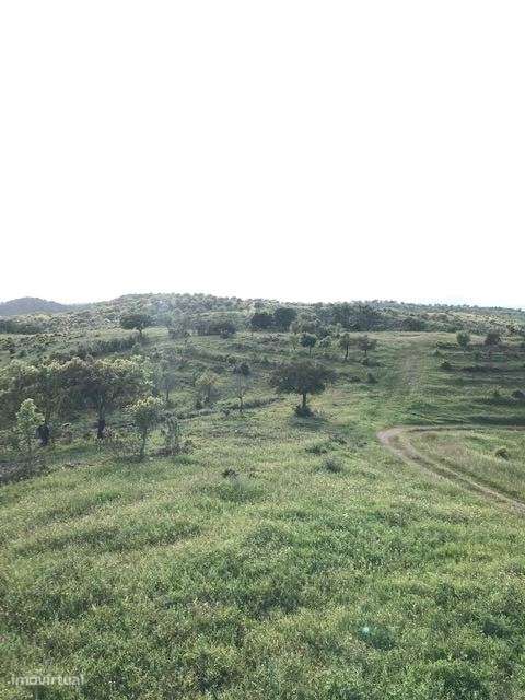 Herdade, para venda, Moura - Safara e Santo Aleixo da Restauração-7