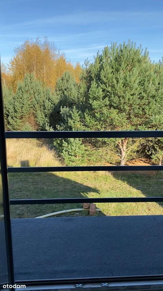 Dom w otulinie lasu - Pełny obrazek: 4/5