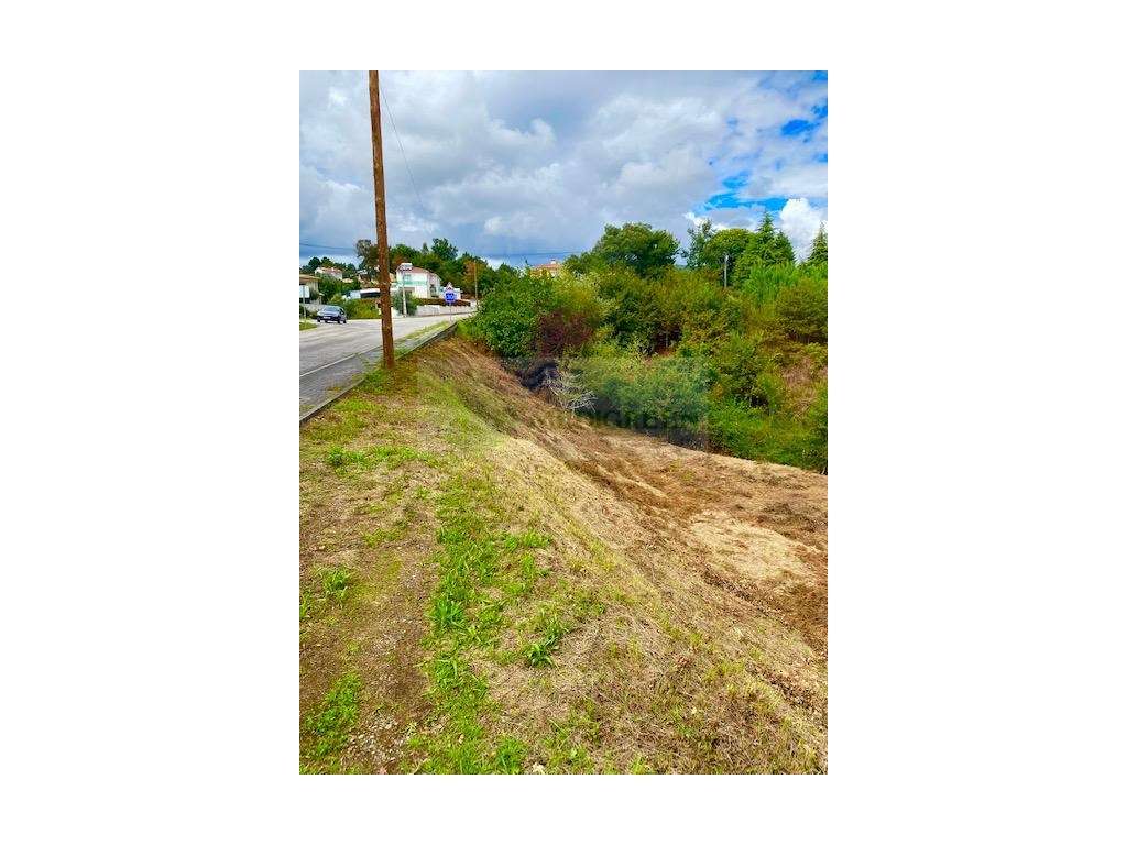 TERRENO PARA CONSTRUÇÃO A 600M DE SEVER DO VOUGA - Grande imagem: 5/8