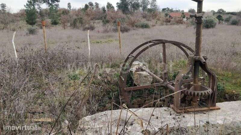Terreno Rústico / Fundão, Pêro Viseu - Grande imagem: 2/6