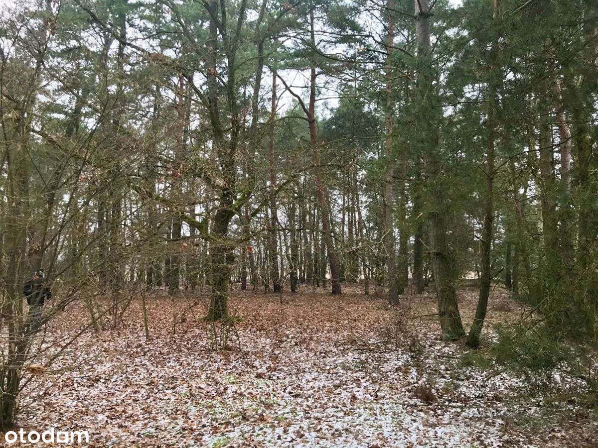 Działka k Bechcic - Pełny obrazek: 4/5