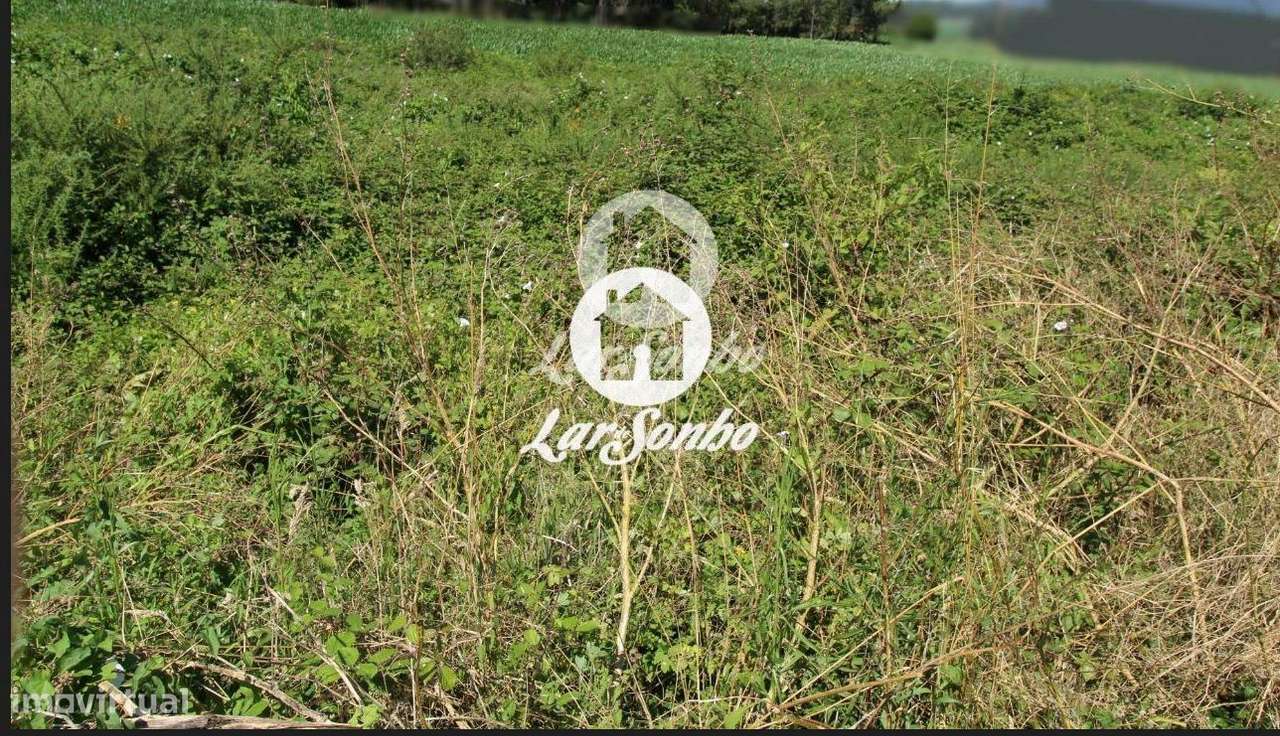 Terreno para construção em Barcelos - Grande imagem: 3/22