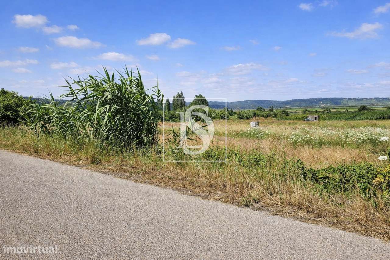 Terreno Para Construção  Venda em Alqueidão,Figueira da Foz-20