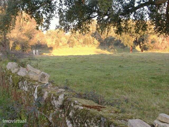 Quinta em Chaves Terreno 50 Ha (500 mil M2) Construção 1.593 m2-18