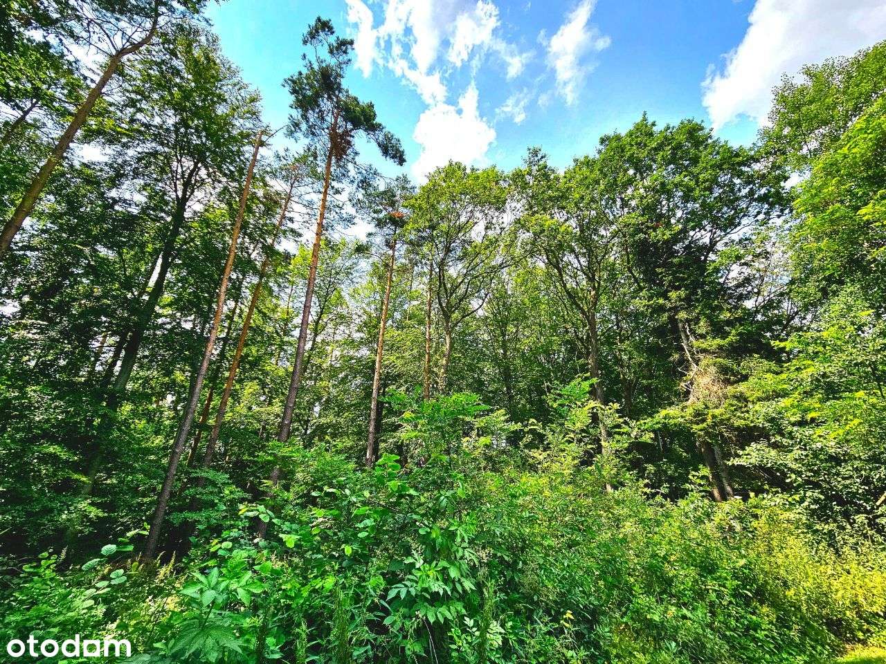 Działka w Woli Zgłobieńskiej z Projektem Bliźniaka - Pełny obrazek: 4/4