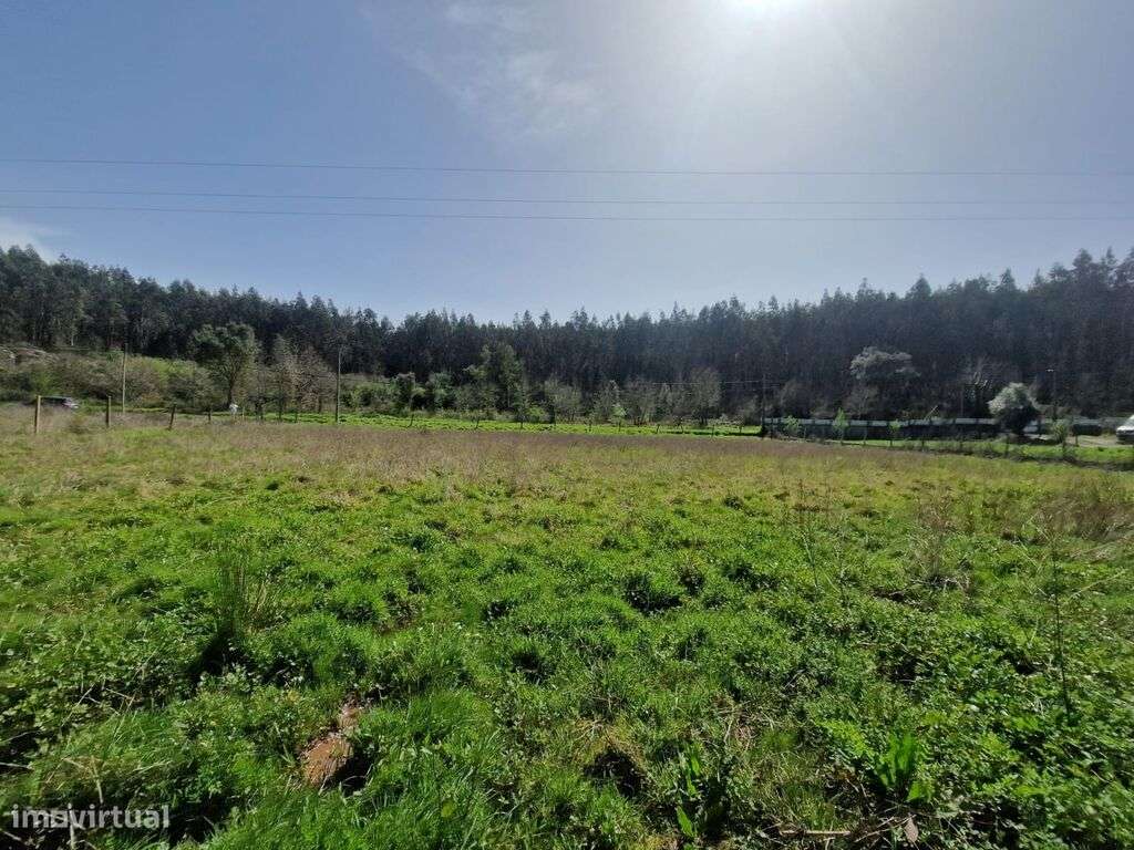 Terreno construção Moradia S. João Boavista - Grande imagem: 5/9