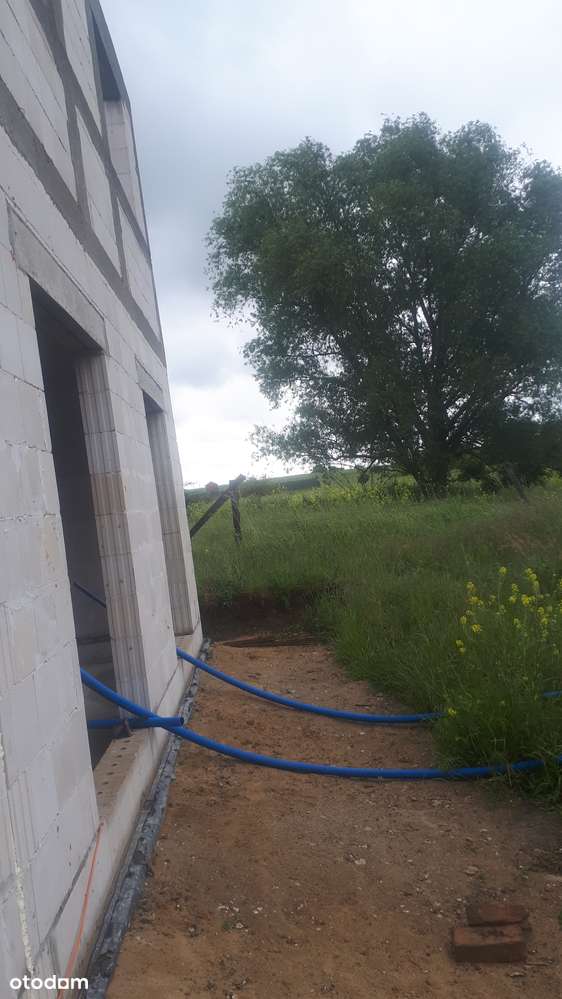 Blisko Bezrzecza, widok na łąkę770 tys - Pełny obrazek: 5/7