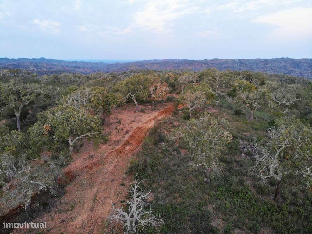 Terreno para Venda com 34 Hectares com Ruina na Serra de Grândola /...-7