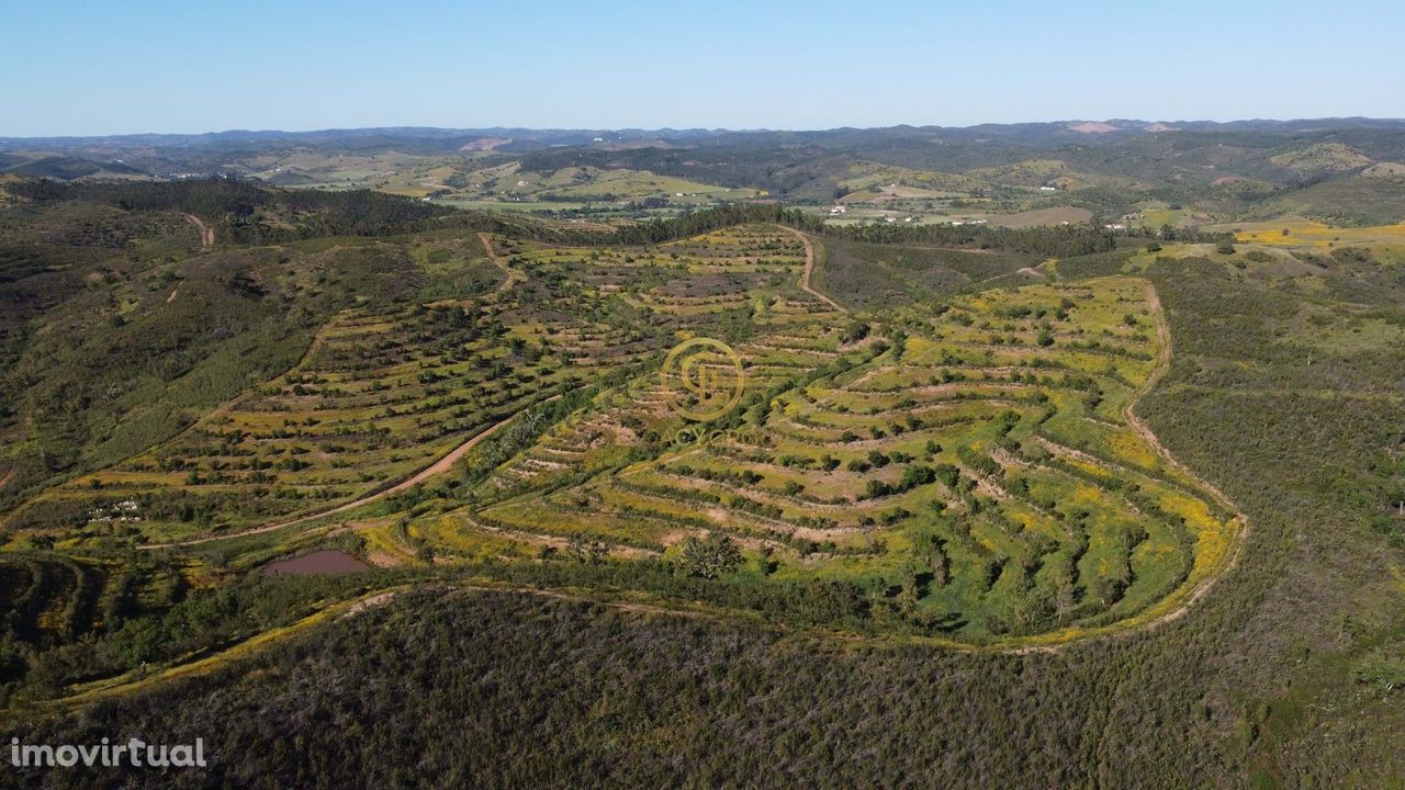 Terreno de 15,6 hectares em Sabóia, Odemira