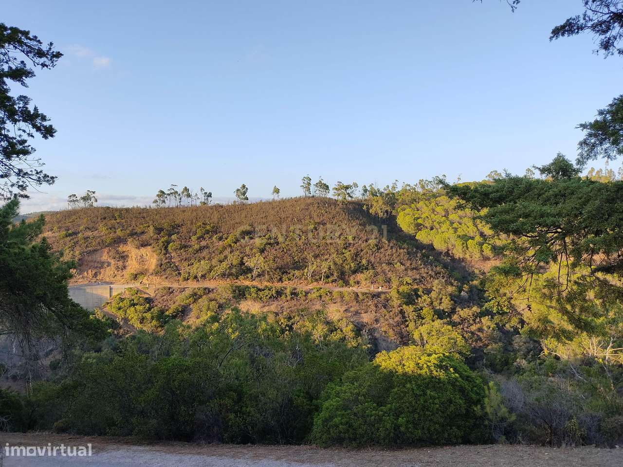 Terreno de 23 Hectares, junto à Barragem da Bravura. - Grande imagem: 3/7