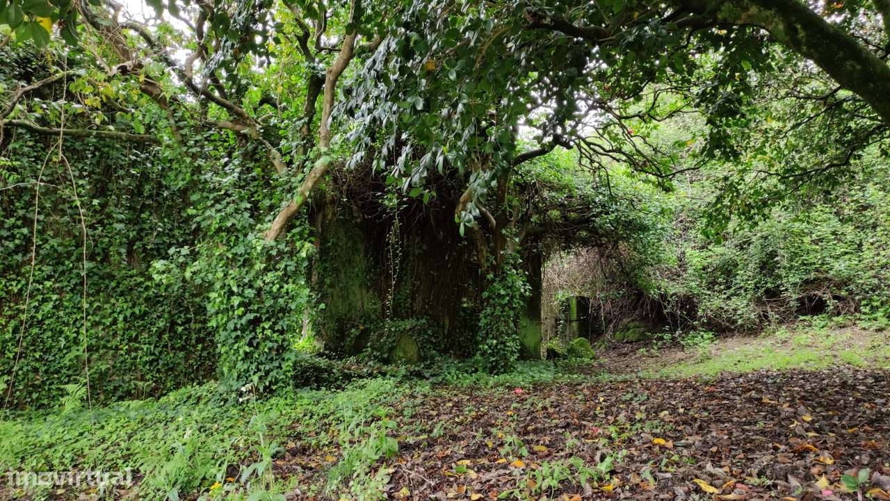 Quinta  Venda em Penhalonga e Paços de Gaiolo,Marco de Canaveses-35