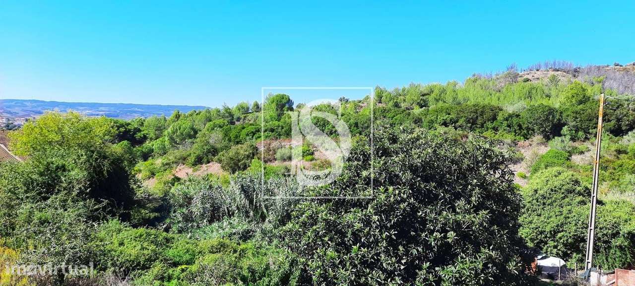 Terreno com rúinas-1