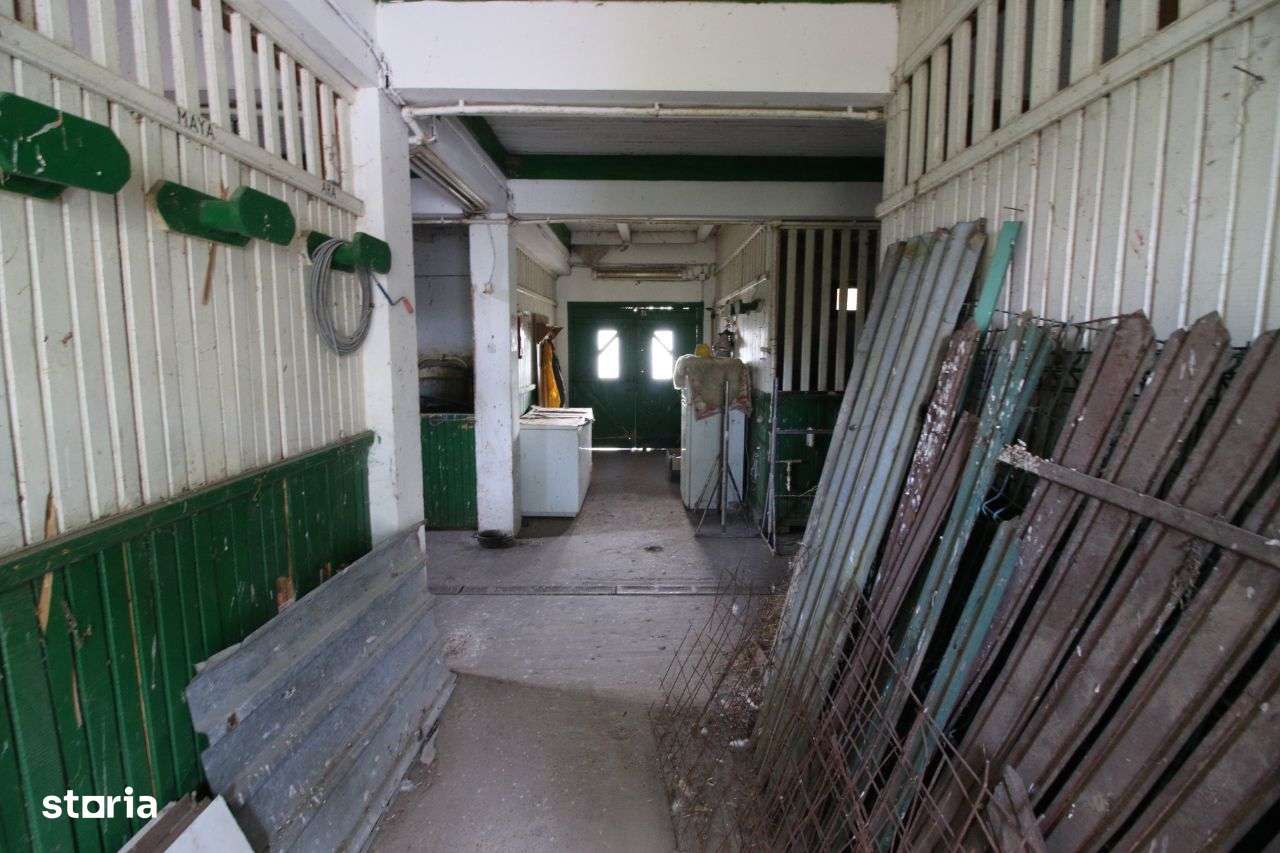 Vand ferma agricola jud. Galati -150.000 euro - Imagine principală: 4/8