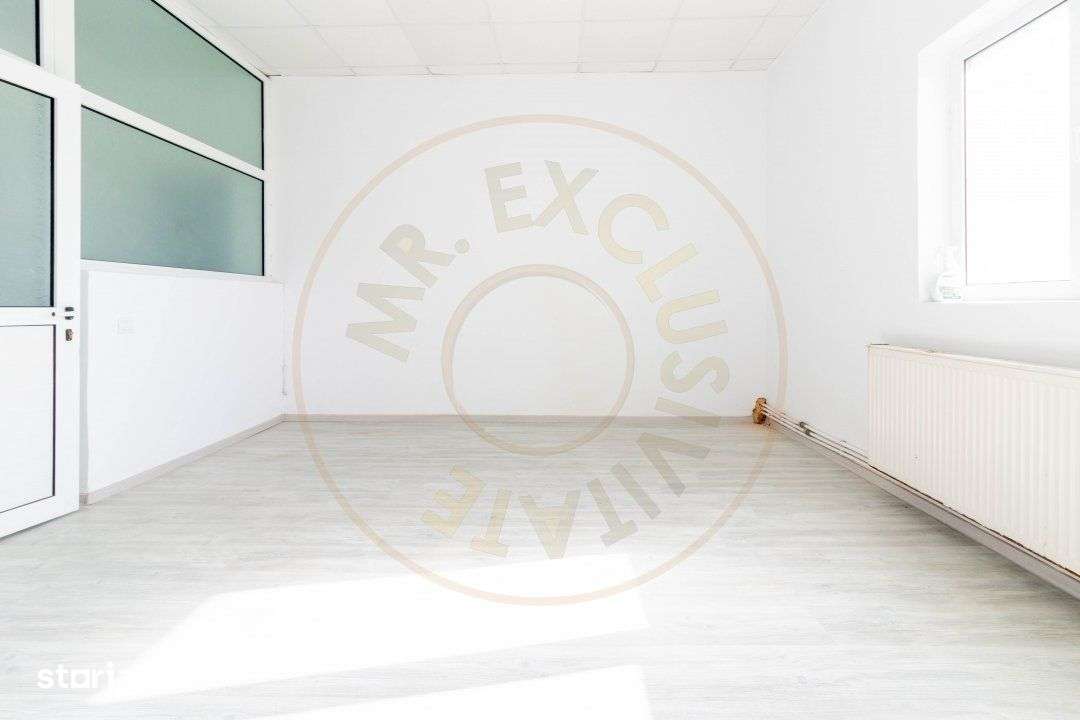 Hala industrial-comerciala - Imagine principală: 5/13