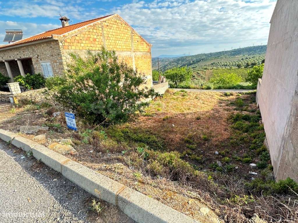 Lote para construção em Zona habitacional Requintada em Torre de Mo... - Grande imagem: 5/13