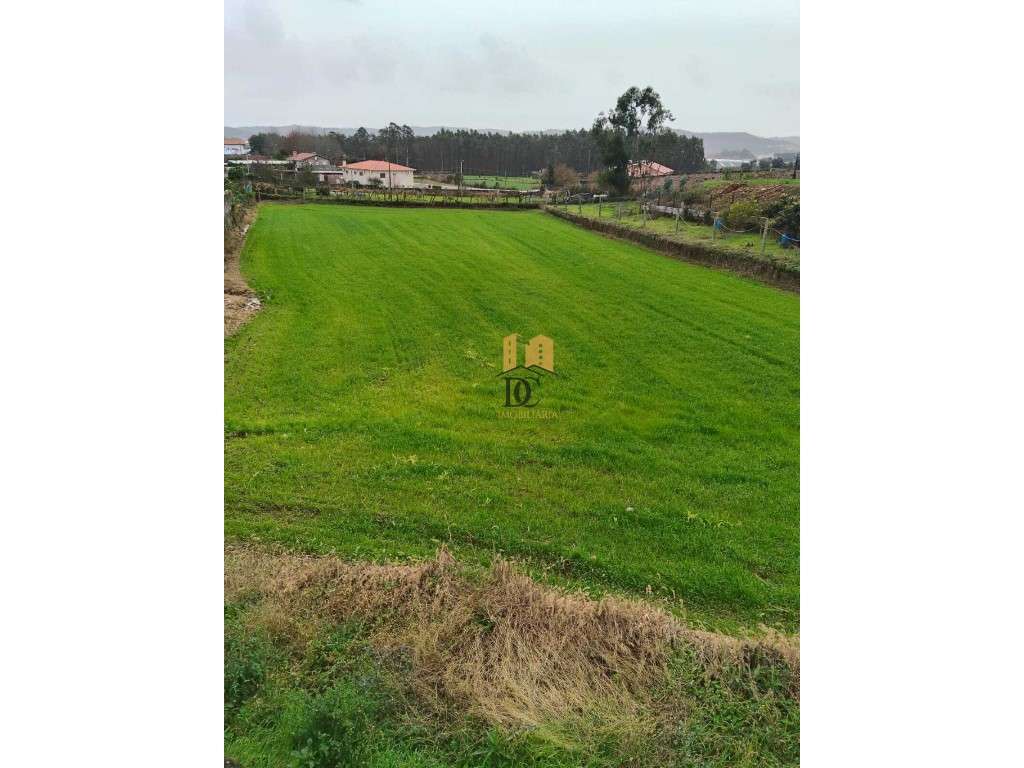 Terreno para construção - Ribeirão - Grande imagem: 5/6