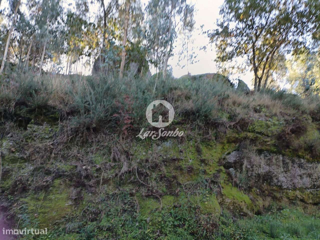 Terreno rústico Quinchães Fafe - Grande imagem: 2/2