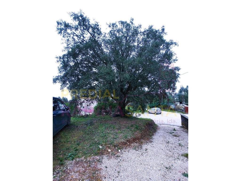 Moradia c/ 5000 m2 terreno , anexos, furo. 16 Km de Coimbra.-22