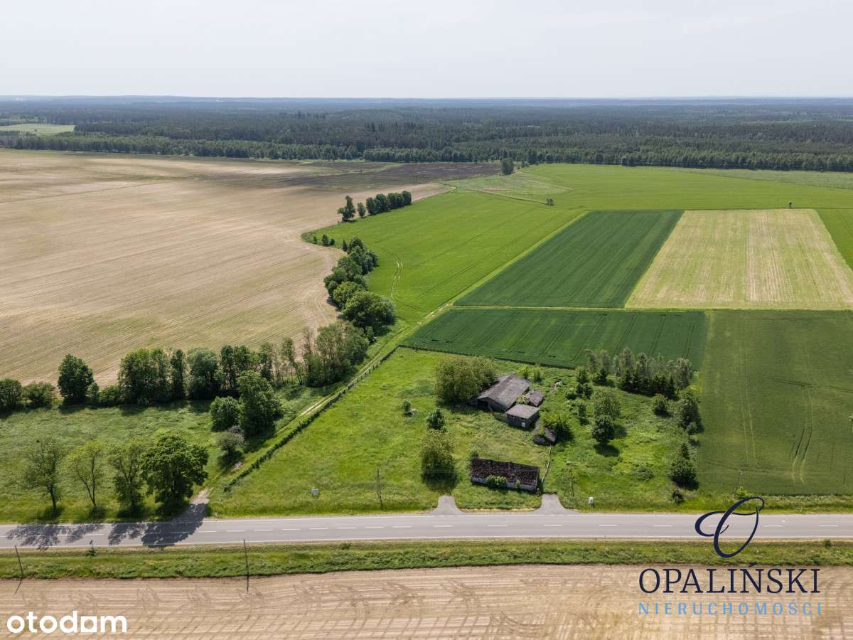 Działka budowlana 63 ar | uzbrojona | z budynkami - Pełny obrazek: 3/15