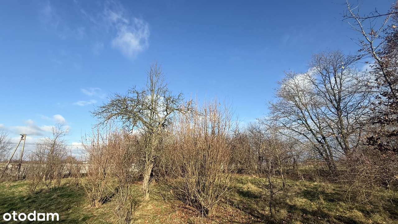 Wilkowiecko, działka budowlano - rolna 2,6 ha, szerokość 94 m - Pełny obrazek: 4/13