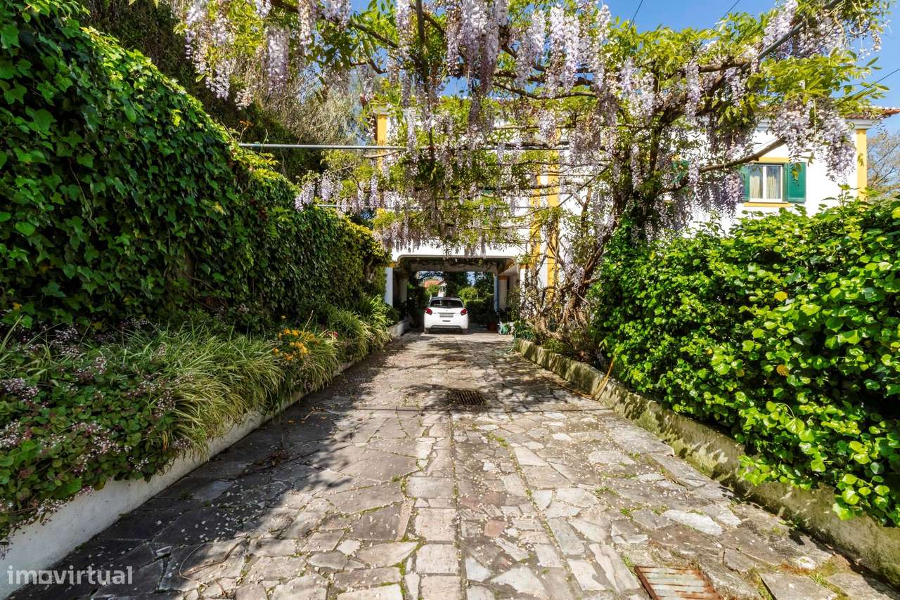 Moradia T6 c/ Terreno de 1600m2 c/ Piscina, Garagem e Anexos em Colare-28