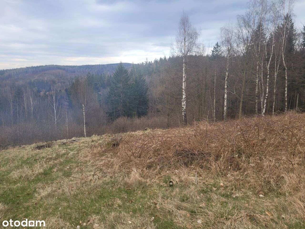 Działka budowlana 2615 m² w Przesiece, 100 m od Wodospadu Podgórnej - Pełny obrazek: 4/6