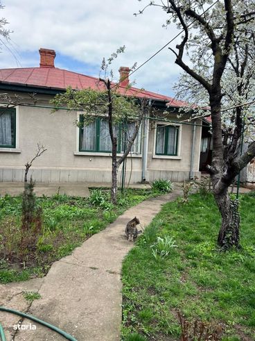 Casa cu teren generos, ideala pentru familie, in zona ultracentrala-2