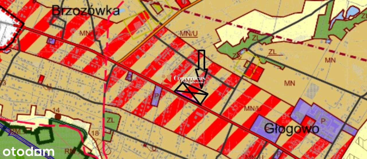 2 działki inwestycyjne Głogowo, gm. Obrowo - Pełny obrazek: 5/5