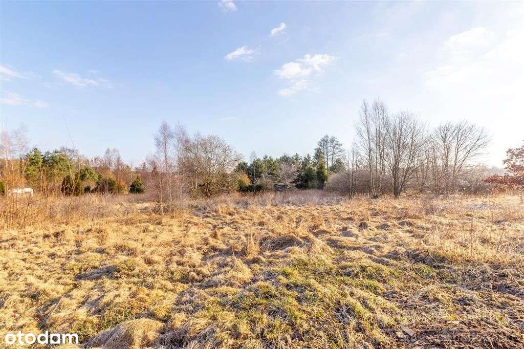 Działka w okolicy lasów i jezior ! - Pełny obrazek: 2/4