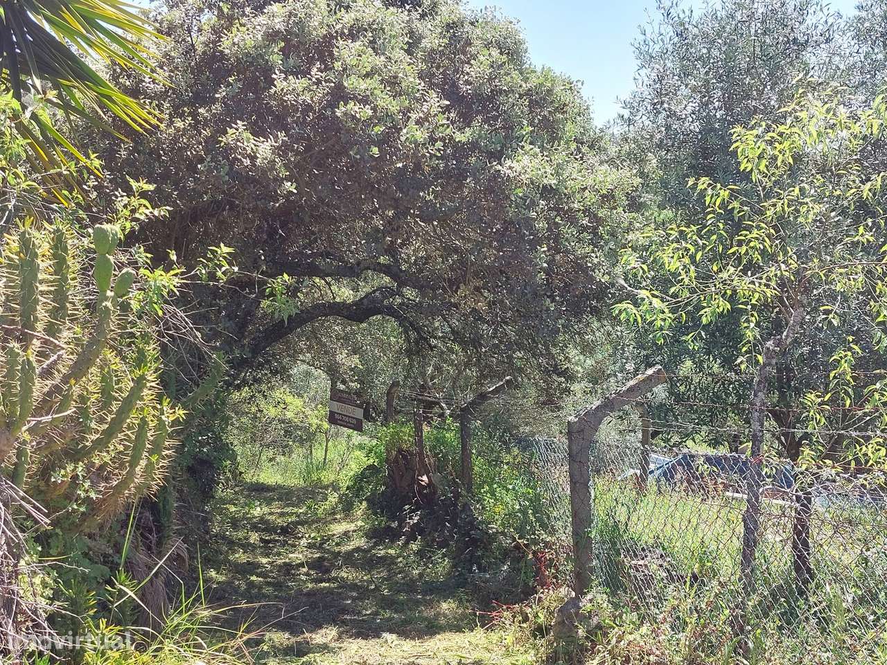 Terreno Rústico  Venda em Assentiz,Torres Novas - Grande imagem: 4/12