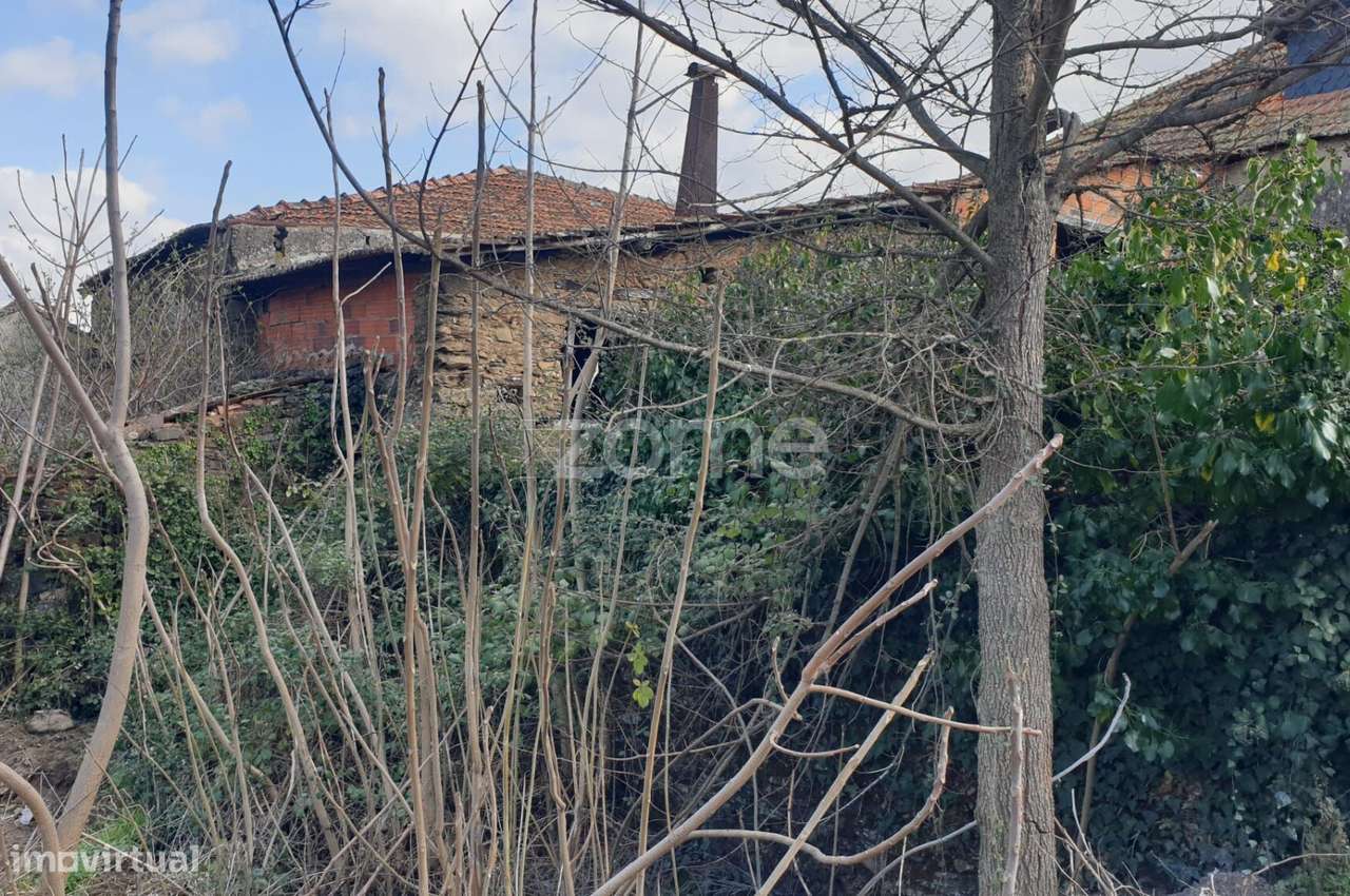Conjunto de 4 artigos em Olmos - Macedo de Cavaleiros - Grande imagem: 5/15