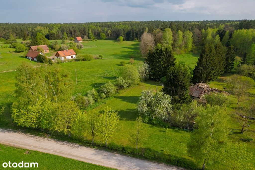 Działka w otoczeniu lasów i łąk - Raj na Mazurach!