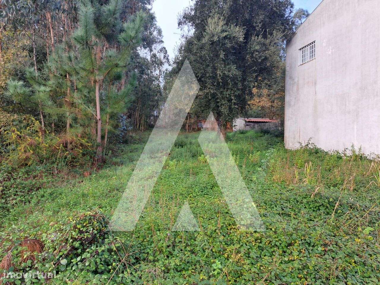 Oportunidade! Terreno em Fermentelos - Grande imagem: 3/8