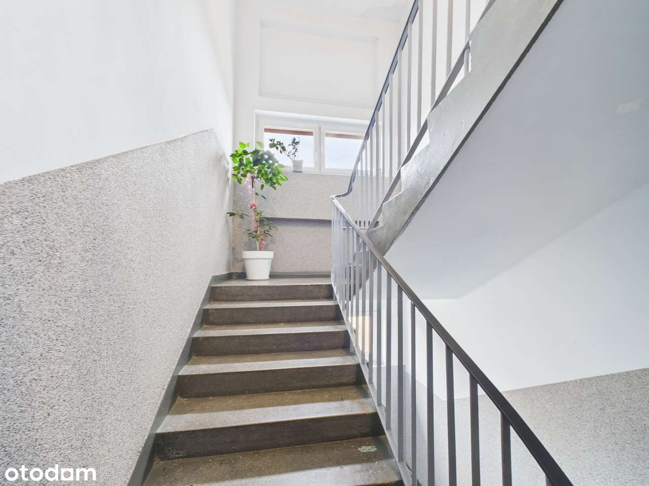 Mysłowice / Morcinka, 55,3 m2, 3 pokoje , balkon, obszerna piwnica-15