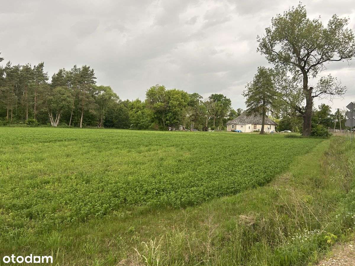 zostały 4 działki  budowlane Bolewo-6